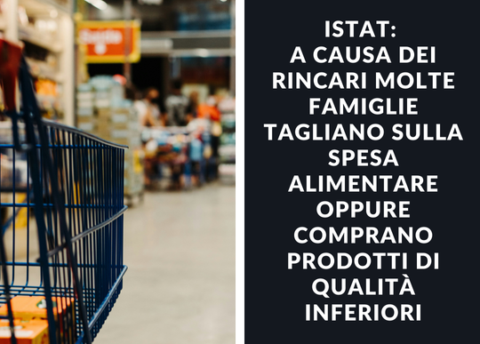 rincari famiglie meno spesa.png